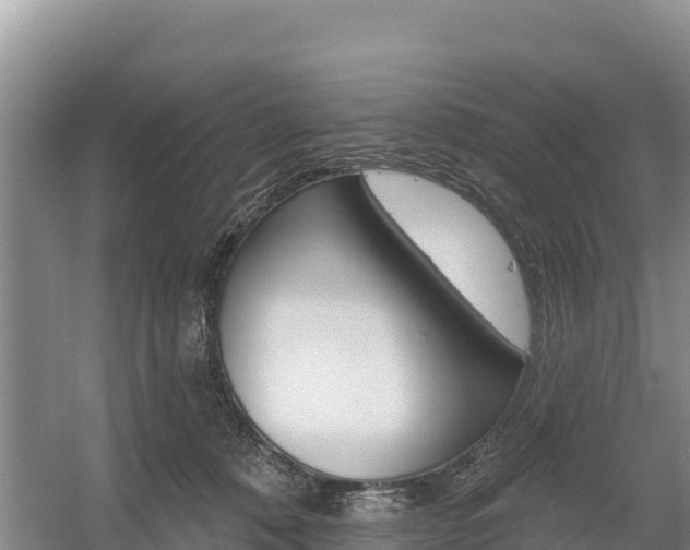 X0000055990320200508190802