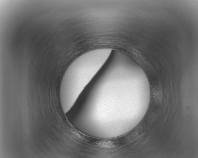 X0000055990322200508190802
