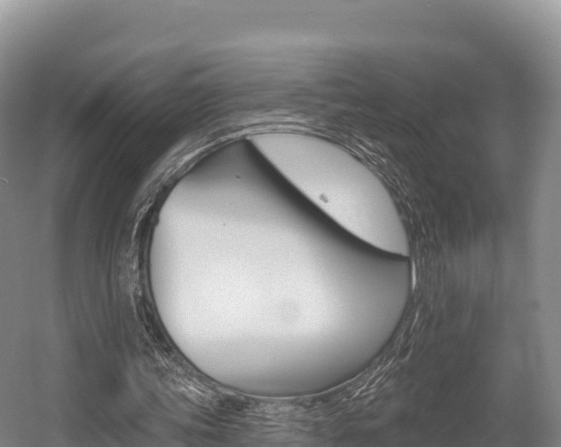 X0000055990339200508190801