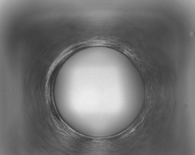 X0000055990343200508190801