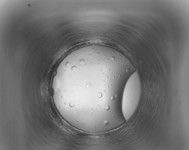 X0000055990347200508190801
