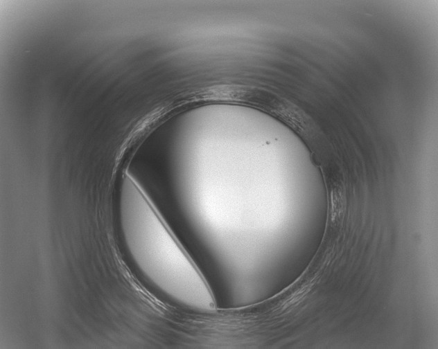 X0000055990349200508190801