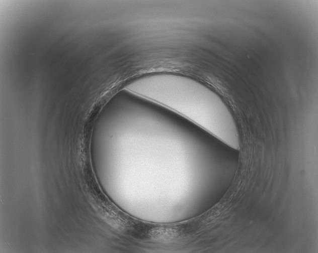 X0000055990354200508190801