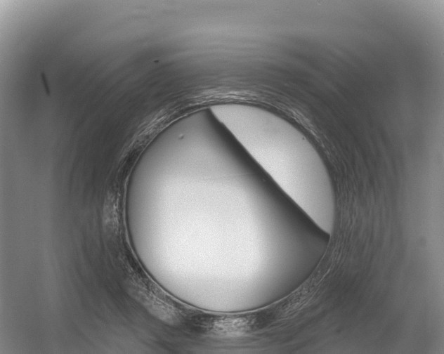 X0000055990357200508190801
