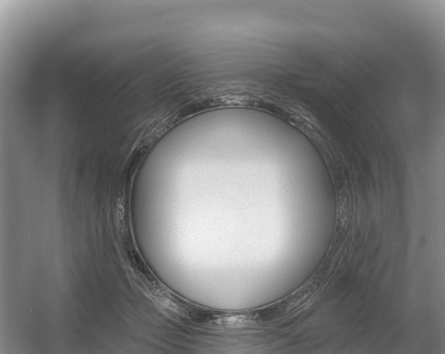 X0000055990365200508190801