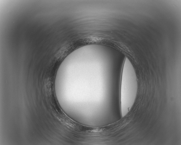 X0000055990366200508190801