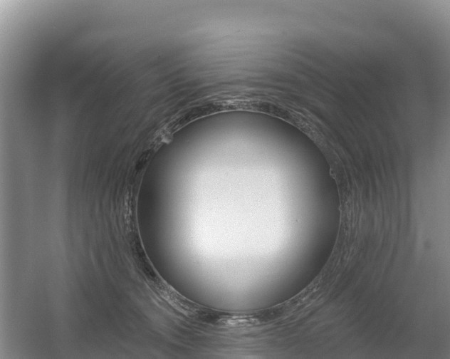 X0000055990372200508190801