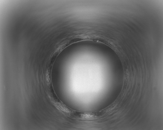 X0000055990380200508190802