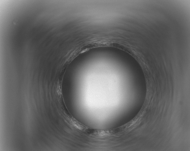X0000055990384200508190802