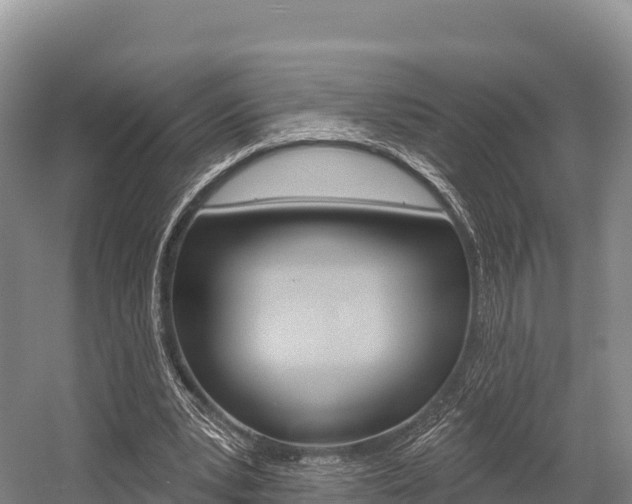 X0000055990391200508190801