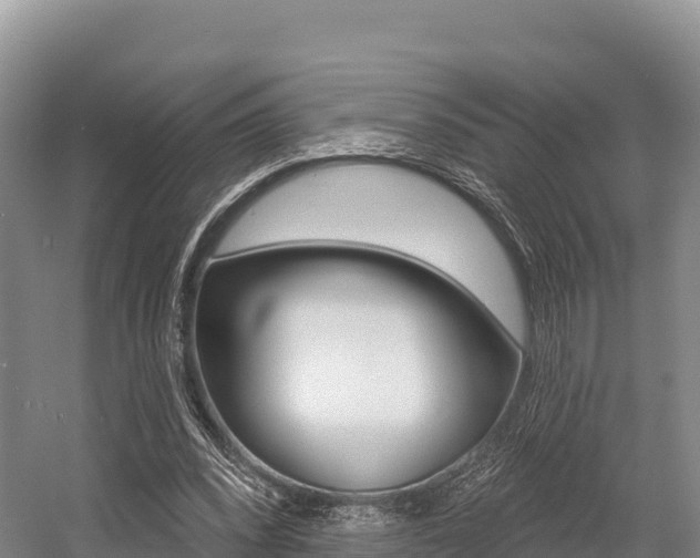 X0000055990392200508190801