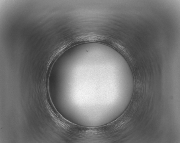 X0000055990394200508190801