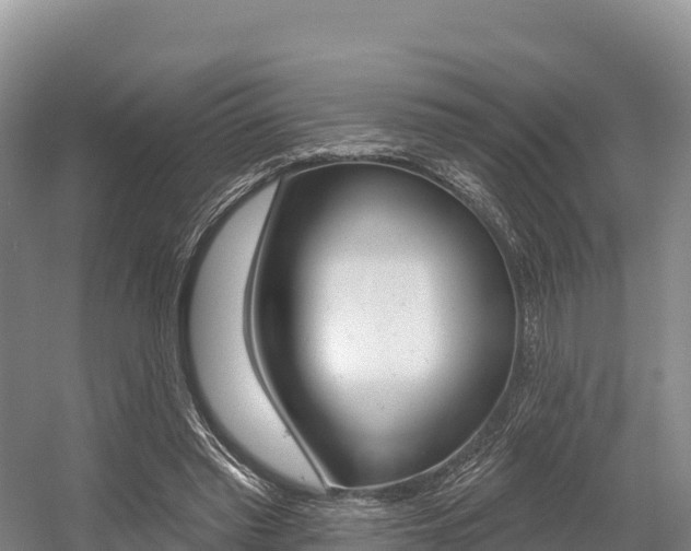 X0000055990397200508190801