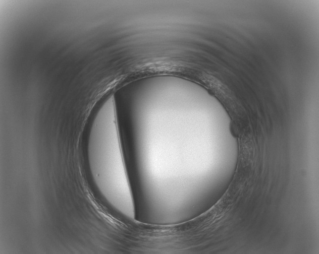 X0000055990398200508190801