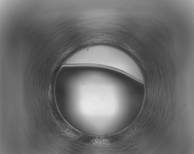X0000055990403200508190801