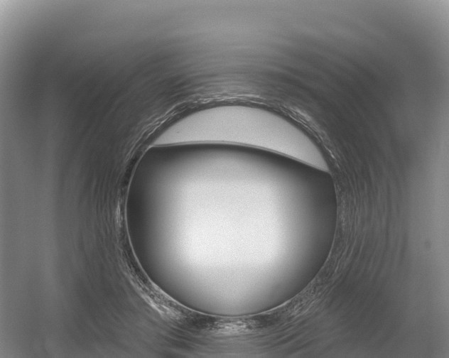 X0000055990405200508190801