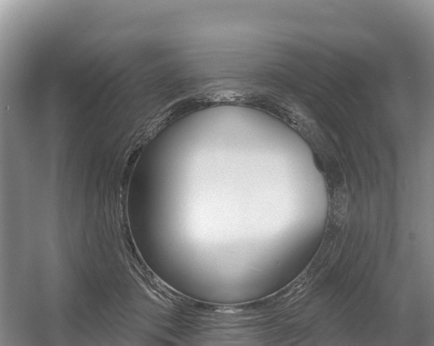 X0000055990413200508190800
