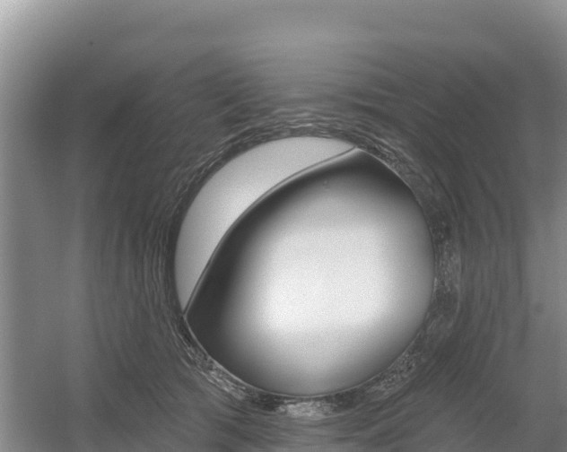 X0000055990417200508190800