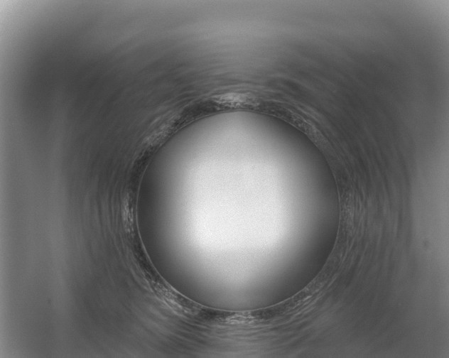 X0000055990420200508190800