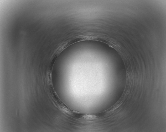 X0000055990429200508190800