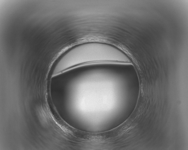 X0000055990438200508190759