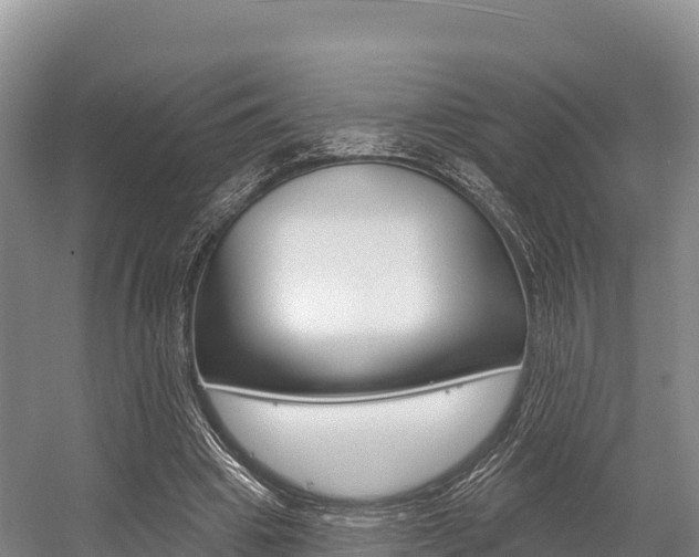 X0000055990441200508190759