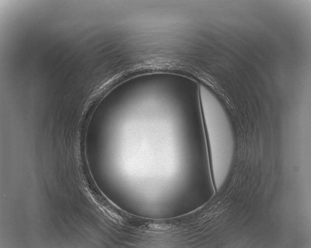 X0000055990442200508190759