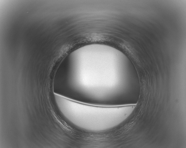 X0000055990447200508190759