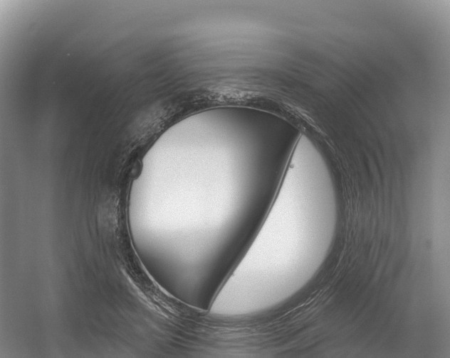 X0000055990451200508190800