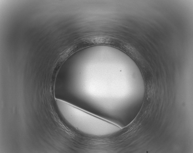 X0000055990453200508190800