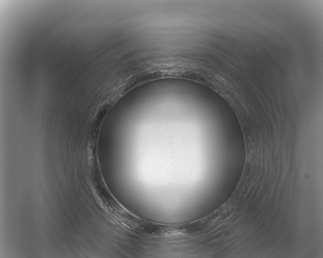 X0000055990456200508190800