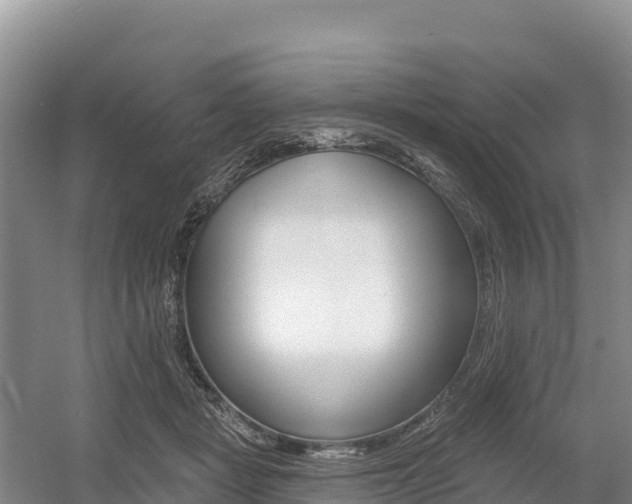 X0000055990461200508190800