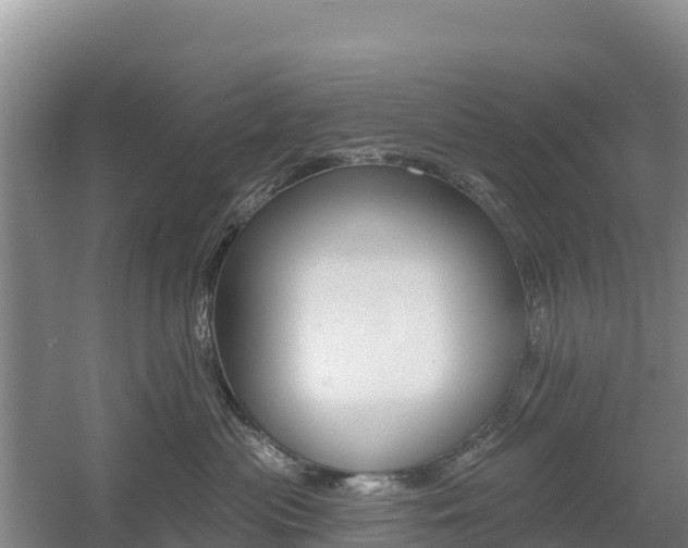 X0000055990477200508190800