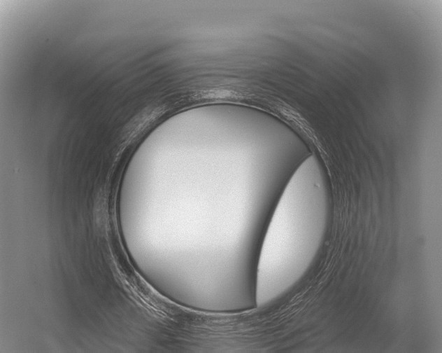 X0000055990482200508190759