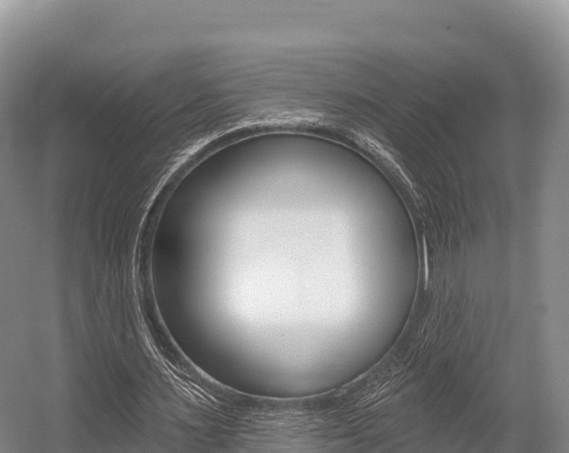 X0000055990483200508190759