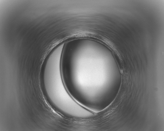 X0000055990485200508190759