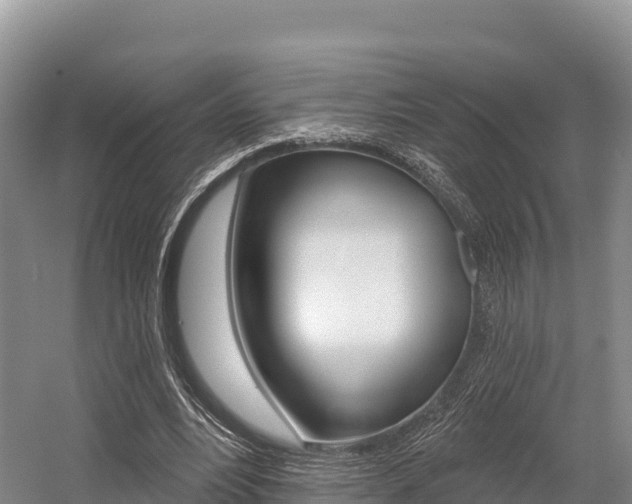 X0000055990488200508190759