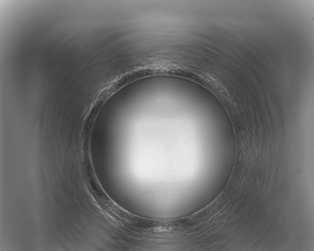 X0000055990496200508190759