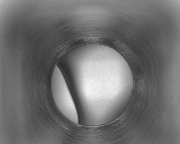 X0000055990498200508190759