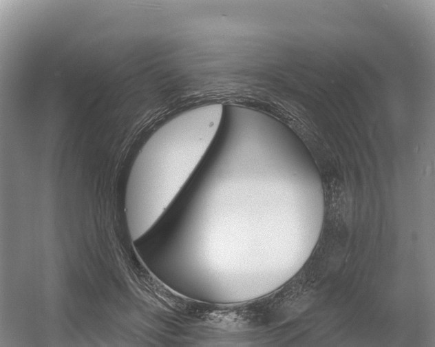 X0000055990502200508190759