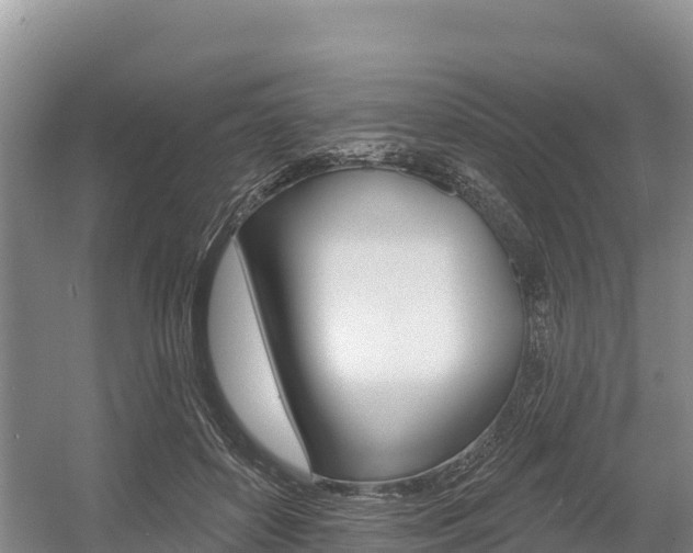 X0000055990504200508190759