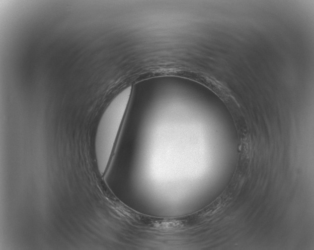 X0000055990517200508190759