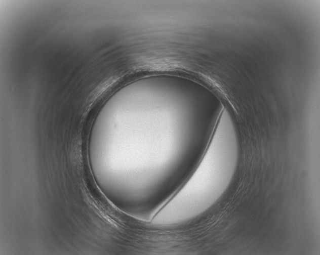 X0000055990535200508190758