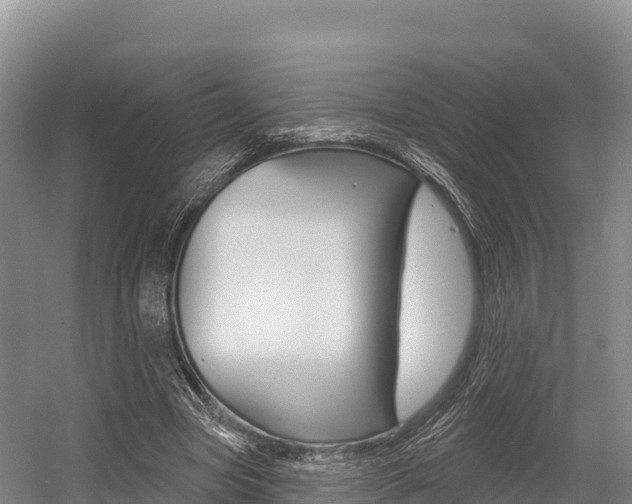 X0000055990537200508190758