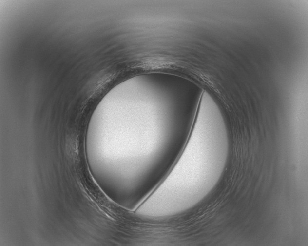 X0000055990539200508190758