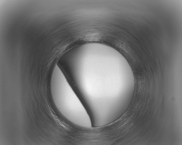 X0000055990541200508190758