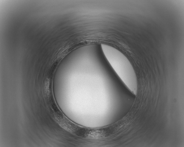 X0000055990550200508190758