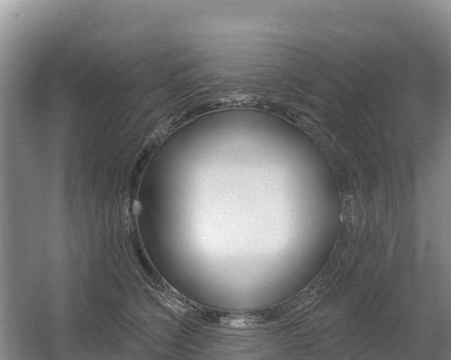 X0000055990564200508190758