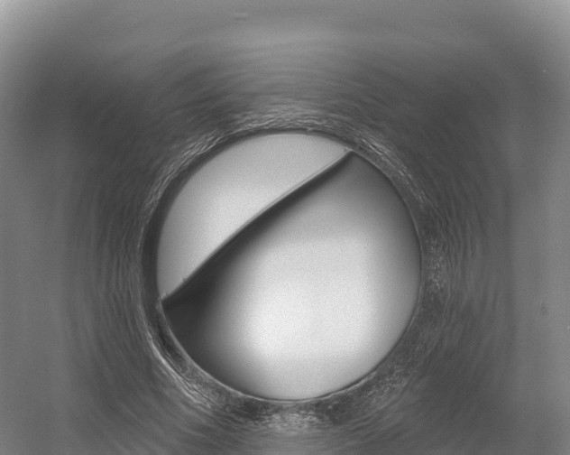 X0000055990586200508190757