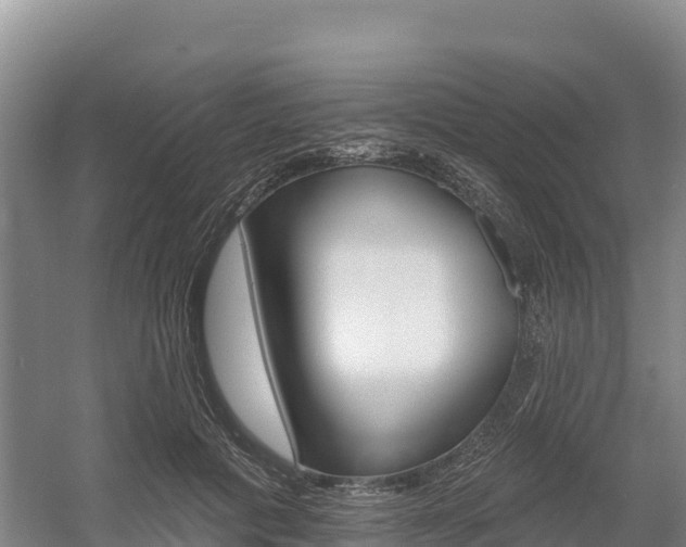 X0000055990601200508190757